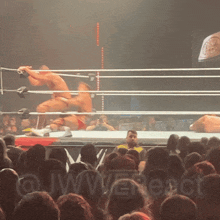 a crowd of people watching a wrestling match with the words jwweract visible