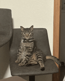 Time Out For You Cat Meme GIF - Time Out For You Cat Meme Salty GIFs