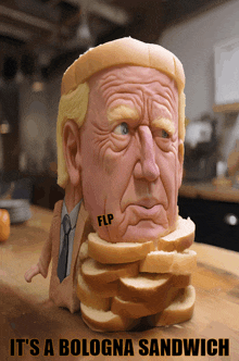 Joe Biden Its A Bologna Sandwich GIF - Joe Biden Its A Bologna Sandwich GIFs