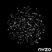 Nyzo Dots GIF