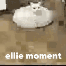 Ellie Ellie Moment GIF - Ellie Ellie Moment Moment GIFs