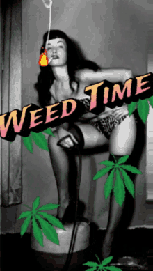 Weed Time Pot GIF - Weed Time Weed Pot GIFs