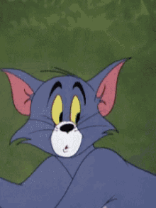Tom And Jerry Bald GIF - Tom And Jerry Tom Bald GIFs