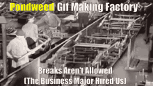 Pondweed Gif Making GIF - Pondweed Gif Making Factory GIFs