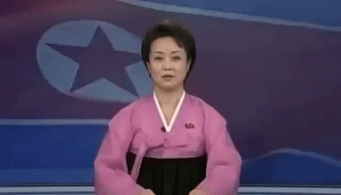 reporter-north-korea.gif
