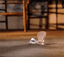 Shoes Stairs GIF - Shoes Stairs Fell Down The Stairs GIFs
