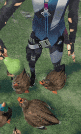a man in a blue suit is surrounded by ducks and a pear