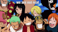 One Piece We Are Not Real GIF