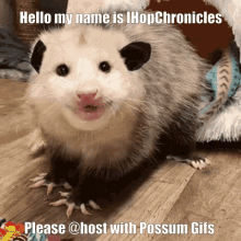 Ihop Chronicles Possum Mafia GIF - Ihop Chronicles Possum Mafia GIFs