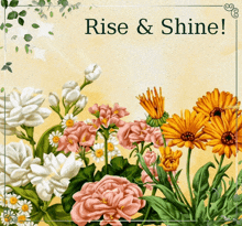 a picture of flowers with the words rise & shine