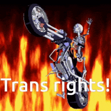 Trans Rights Awoooooo GIF - Trans Rights Awoooooo Skeleton GIFs