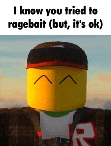 a picture of a yellow block with the words i know you tried to ragebait ( but it 's ok ) on it