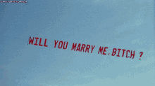 Will You Marry Me Bitch Bitch GIF - Will You Marry Me Bitch Marry Me Bitch GIFs