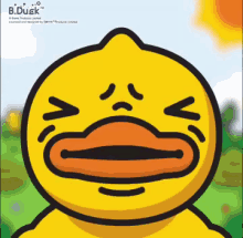 Duck Mad GIF - Duck Mad Angry GIFs