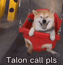 Talon Call Pls GIF - Talon Call Pls GIFs