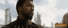 الفهد الأسود GIF - Black Panther Panther Wakanda GIFs