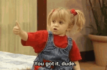 Funny Full House GIF - Funny Full House You Got It Dude GIFs