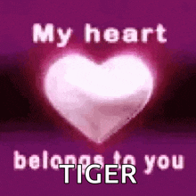 a purple background with a heart that says my heart belongs to you tiger
