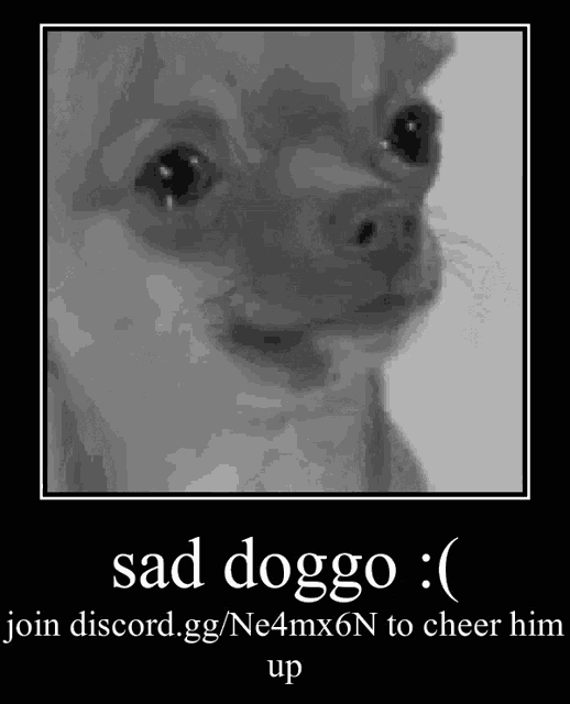how do you cheer up a sad puppy