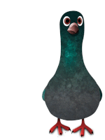 Pidgeon Pigeon Sticker - Pidgeon Pigeon Erkam Akalin Stickers