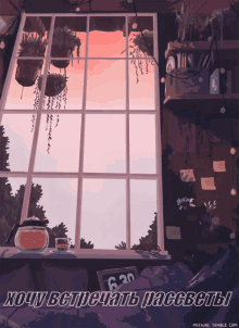 рассвет комната чай красиво окно вид GIF - Sunrise Room Window GIFs