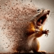 a squirrel is standing on a table with its mouth open and a lot of dust coming out of it .
