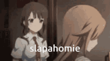 Slap Anime GIF - Slap Anime Homie GIFs