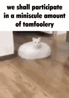 Tomfoolery Cat GIF - Tomfoolery Cat GIFs