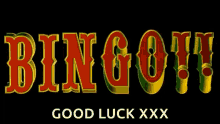 Bingo Good Luck GIF