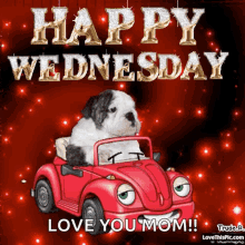 happy wednesday dog cute driving love you mom