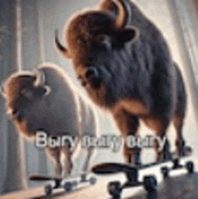 two bison standing next to each other on a skateboard .