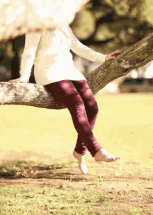 Pants GIF - Tree Swinging Legs Color GIFs