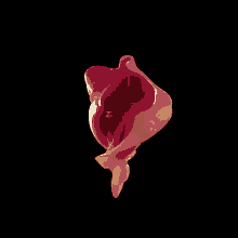 a red object with a yellow stripe on it is against a black background