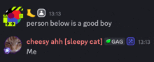 a person below is a good boy and cheesy ahh sleepy cat me