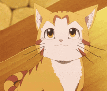 a close up of a cat 's face with a striped tail looking at the camera