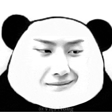 a black and white photo of a panda 's face