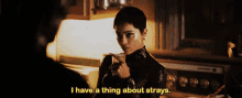 The Batman Catwoman GIF - The Batman Catwoman I Have A Thing About Strays GIFs