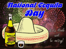 National Tequila Day Happy National Tequila Day GIF - National Tequila Day Tequila Day Happy National Tequila Day GIFs