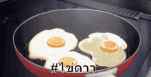 fried egg cook cooking