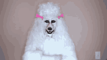 Human Poodle GIF - Human Poodle Scary GIFs