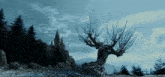 Whomping Willow GIF