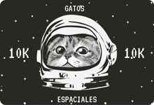 Gatosespaciales10k Gatos10k GIF - Gatosespaciales10k Gatos10k Gatitos10k GIFs