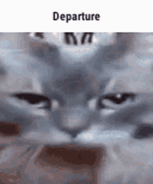 Meme Departure GIF