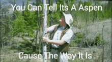 The Way It Is GIF - Nature Aspen Tree GIFs