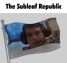 The Subleaf Republic Subleaf GIF - The Subleaf Republic Subleaf Subleaf Gaming GIFs