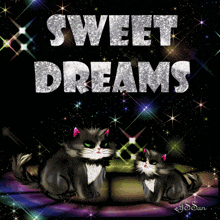 two cats laying on a couch with the words sweet dreams above them