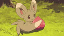 Minccino Pokemon GIF