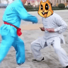 a man in a blue suit is fighting another man in a white suit with a cat mask on his head