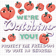 pataytoh were watching you protect the freedom to vote in georgia georgias right to vote protect the vote
