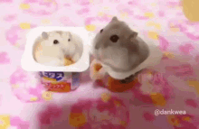 Hamster Slap Hamster GIF - Hamster Slap Hamster Slap GIFs